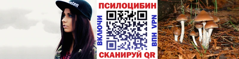 Галлюциногенные грибы Magic Shrooms  Белоярский 